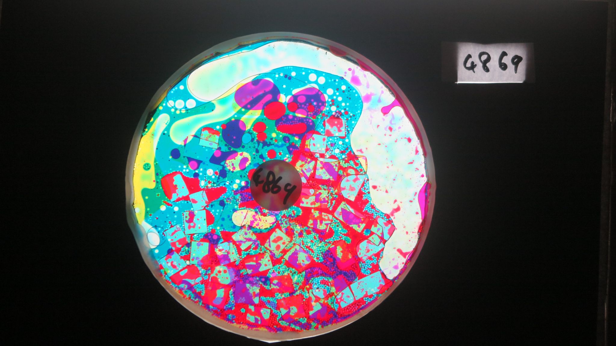 BV4869 bubble vision oil wheel